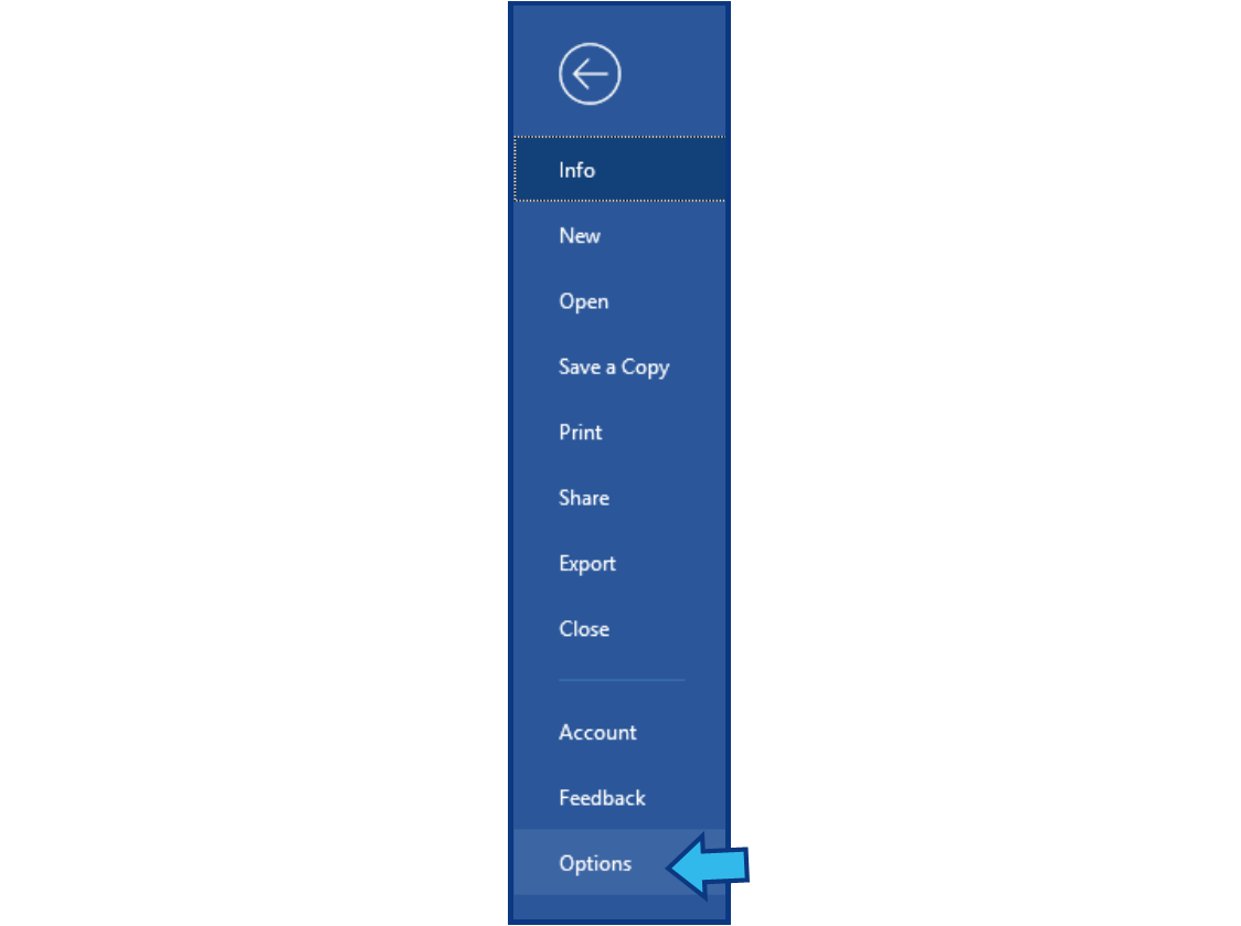 Word_Options.png
