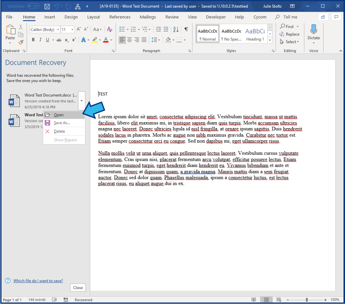 microsoft word document recovery software