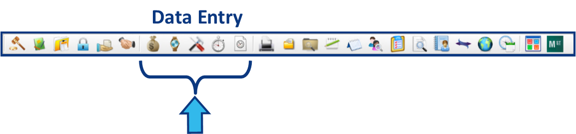 4455_Global_Toolbar_-_Data_Entry.png
