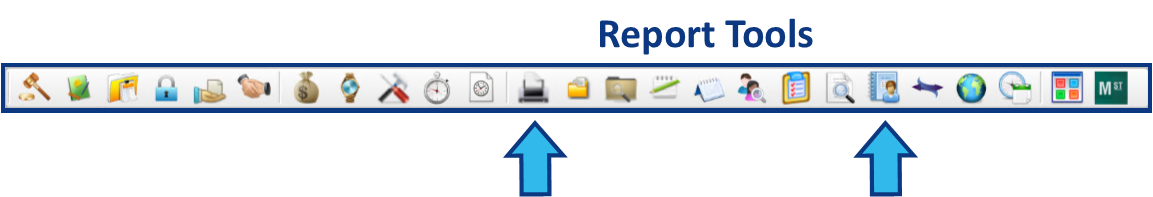 4455_Global_Toolbar_-_Report_Tools.png